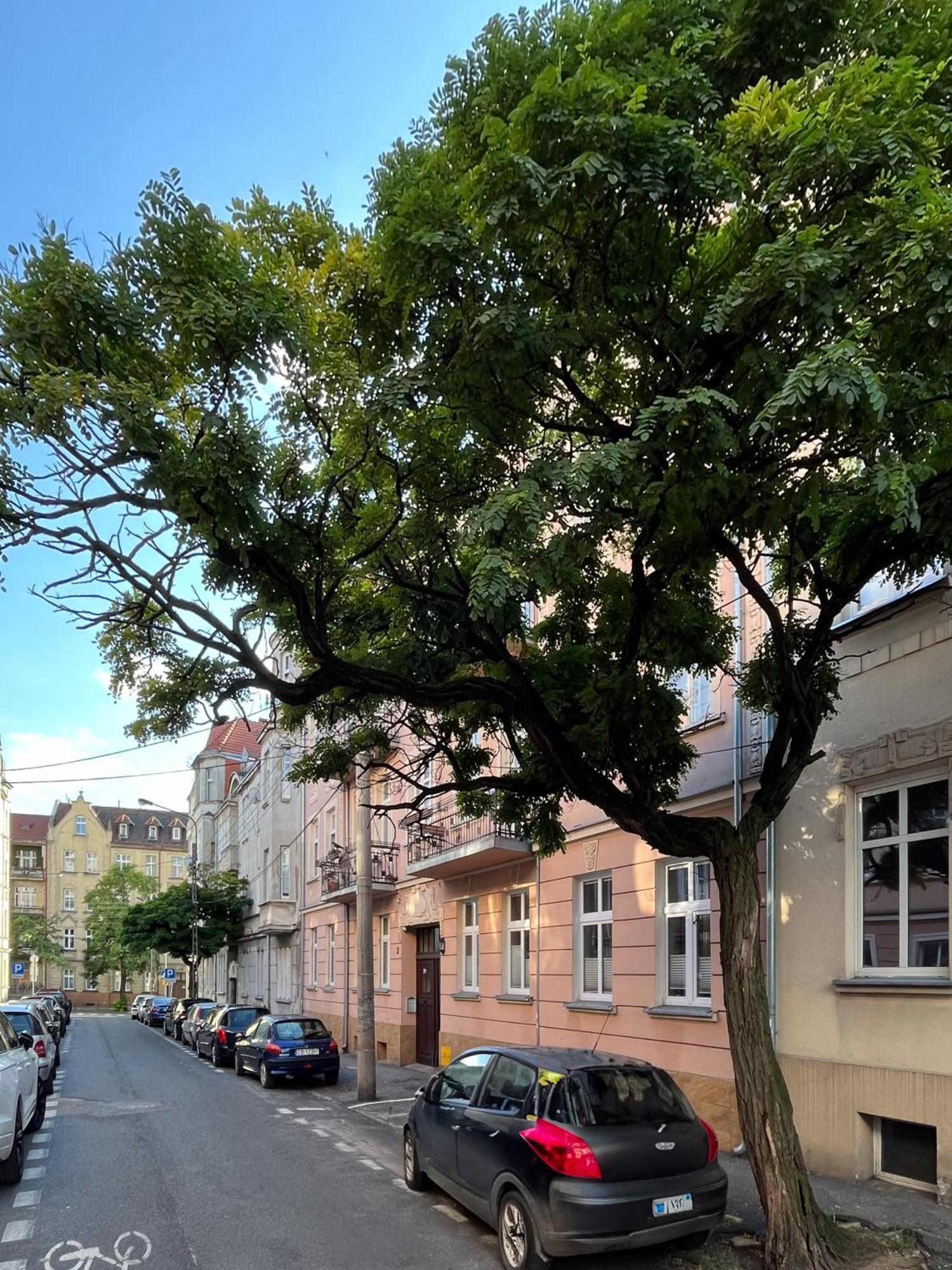 Apartament Dlugosza 3 - Jak W Domu - Idealny Na Dlugie Pobyty I Weekendy Bydgoszcz Bagian luar foto